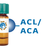 Amaranthus caudatus Lectin (ACL/ACA) - Separopore® 4B