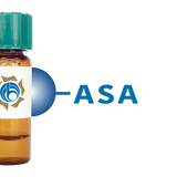 Allium sativum Lectin (ASA) - Separopore® 4B