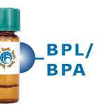 Bauhinia purpurea Lectin (BPL/BPA) - Separopore® 4B