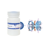 Avidin Separopore® 6B