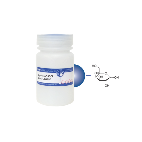 Galactose Separopore® 4B-CL (Epoxy-Coupled)