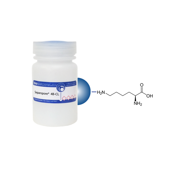 L-Lysine Separopore® 4B-CL