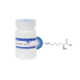 L-Lysine Separopore® 4B-CL
