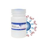 Goat Anti-Rabbit IgG (H&L) Antibody MagneZoom™ (Paramagnetic Beads)