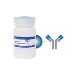 Protein G MagneZoom™ (Paramagnetic Beads)