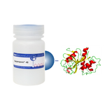 Papain Separopore® 4B