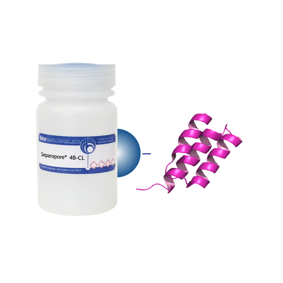 Protein A Separopore® 4B-CL