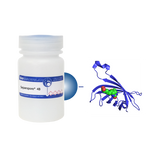 Streptavidin Separopore® 4B