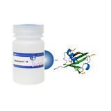 Ubiquitin Separopore® 4B