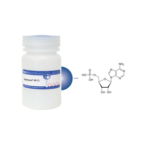 AMP Separopore&reg; 4B-CL