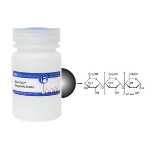 Amylose BlackPearl&reg; (Magnetic Beads)