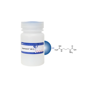 Arginine Separopore&reg; 6B-CL