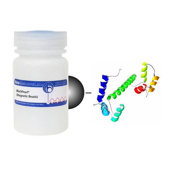 Calmodulin (CAM) BlackPearl® (Magnetic Beads)