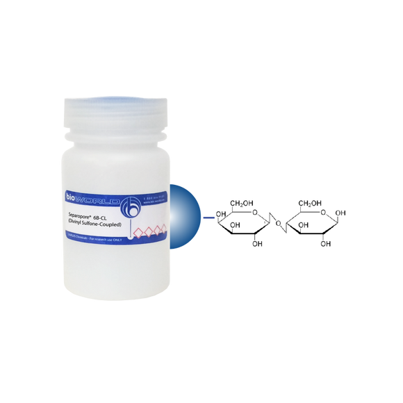 α-Lactose Separopore® 6B-CL (Divinyl Sulfone-Coupled)