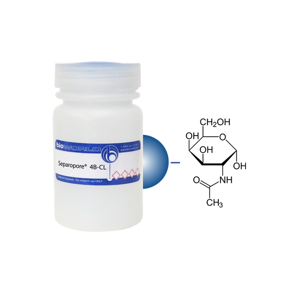 N-Acetyl-D-Galactosamine Separopore® 4B-CL