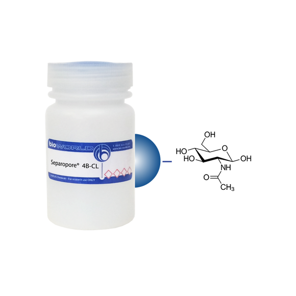 N-Acetyl-D-Glucosamine (GlcNAc) Separopore® 4B-CL