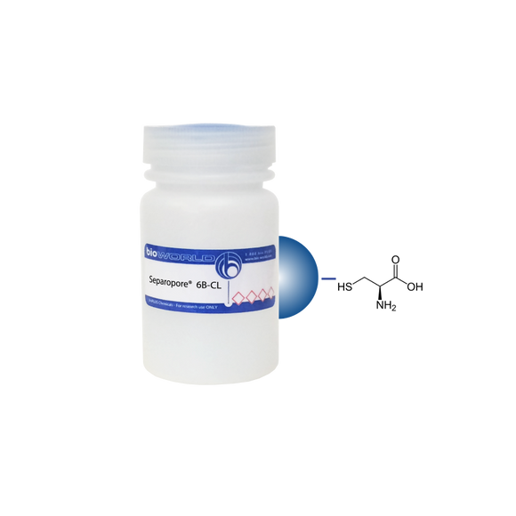 L-Cysteine Separopore® 6B-CL