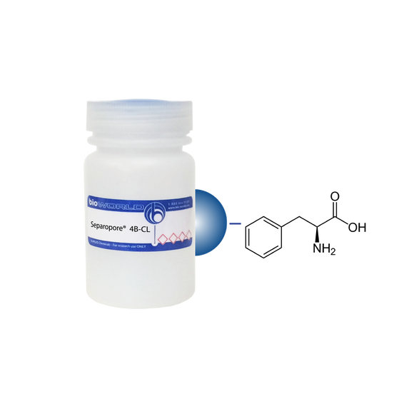 L-Phenylalanine Separopore® 4B-CL