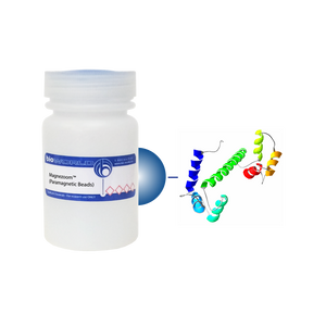 Calmodulin (CAM) MagneZoom&trade; (Paramagnetic Beads)