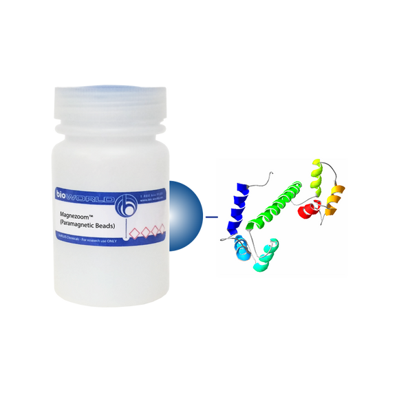 Calmodulin (CAM) MagneZoom™ (Paramagnetic Beads)