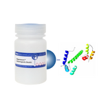Calmodulin (CAM) MagneZoom&trade; (Paramagnetic Beads)