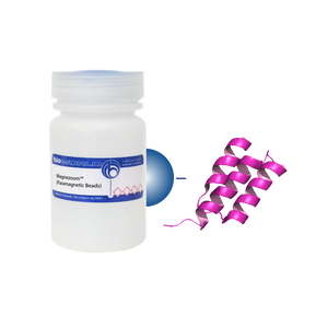 Protein A MagneZoom&trade; (Paramagnetic Beads)