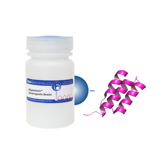 Protein A MagneZoom™ (Paramagnetic Beads)