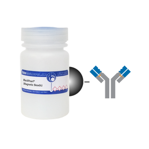 Protein G BlackPearl&reg; (Magnetic Beads)