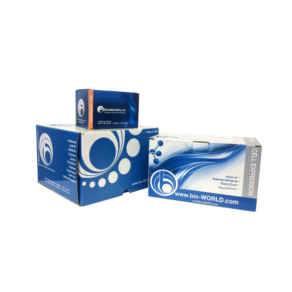 Calmodulin MagneZoom™ (Paramagnetic Beads) Kit