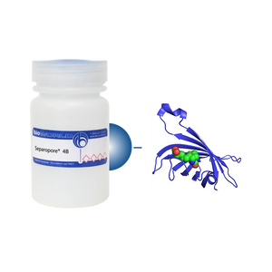 Streptavidin Separopore&reg; 4B