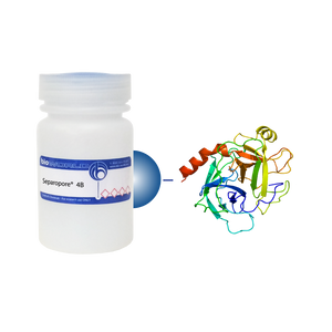 Trypsin Separopore&reg; 4B