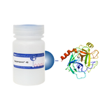 Trypsin Separopore&reg; 4B