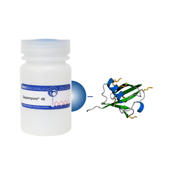 Ubiquitin Separopore® 4B